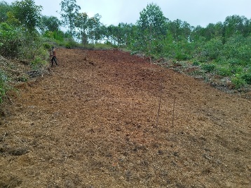 Agriculture image 9