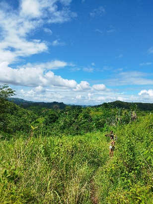 Agriculture image 16
