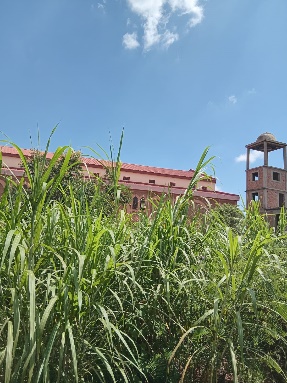 Agriculture image 36